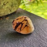 Jaspis zebrinis (60-70 g)