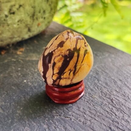 Jaspis zebrinis (60-70 g)