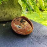 Agatas - rausvas