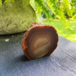 Agatas ~310 g
