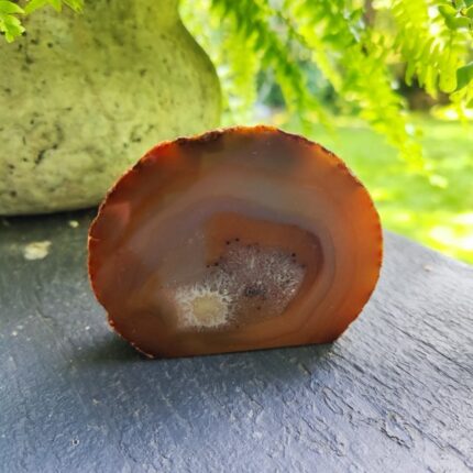 Agatas ~310 g