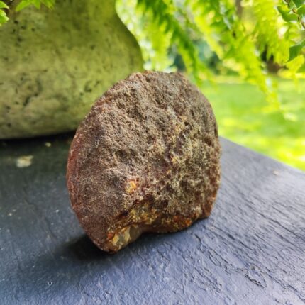 Agatas ~310 g