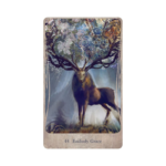 Divine Nature Oracle cards 44 Embody Grace