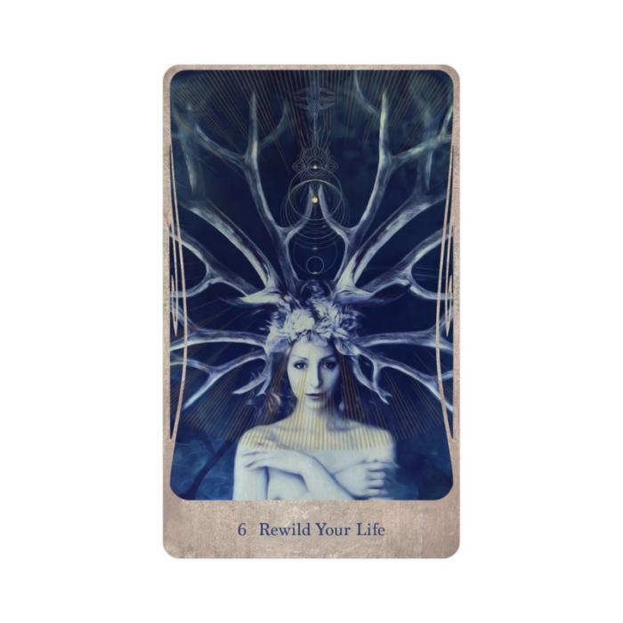 Divine Nature Oracle cards 6 Rewild Your Life