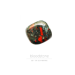 Daily Crystal Inspiration Orakulo kortos bloodstone