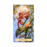Once Upon a Time Taro kortos 0 the fool