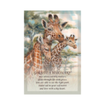 Spirit Of The Animals Orakulo kortos Giraffe Visionary