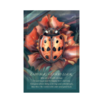 Spirit Of The Animals Orakulo kortos Ladybug Good Luck