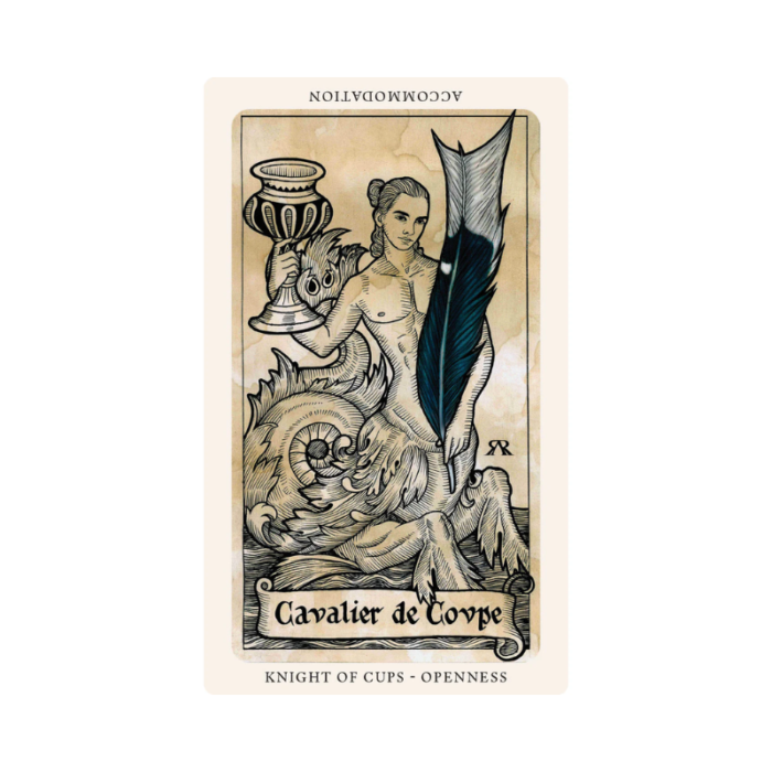 The Medieval Feathers Taro kortos knight of cups