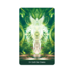 Visions Of The Soul Meditacijos ir Portalo kortos 8 Earth Star Chakra
