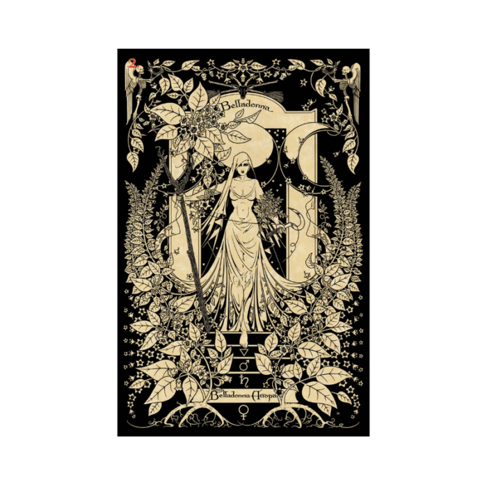The Magickal Botanical Orakulo kortos - Image 3