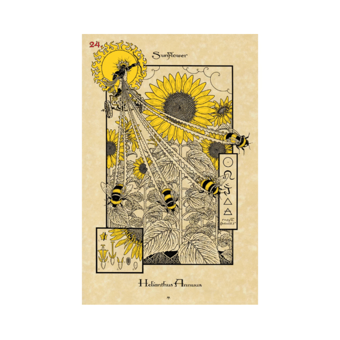The Magickal Botanical Orakulo kortos - Image 6