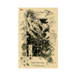 The Magickal Botanical Orakulo kortos - Image 7