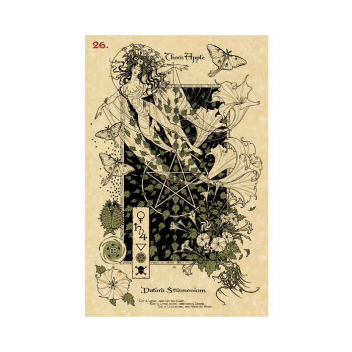The Magickal Botanical Orakulo kortos - Image 7
