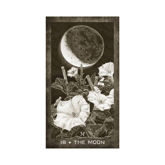 New Era Elements Taro kortos 18 the moon