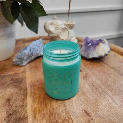 Tvariai atgimusi sojų vaško žvakė