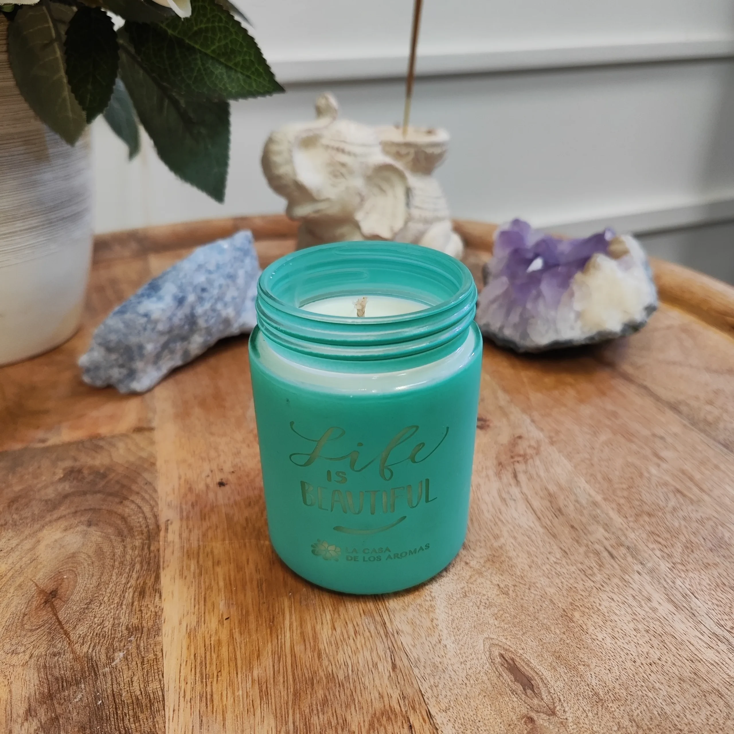 IMG_20251108_153532_C Tvariai atgimusi sojų vaško žvakė