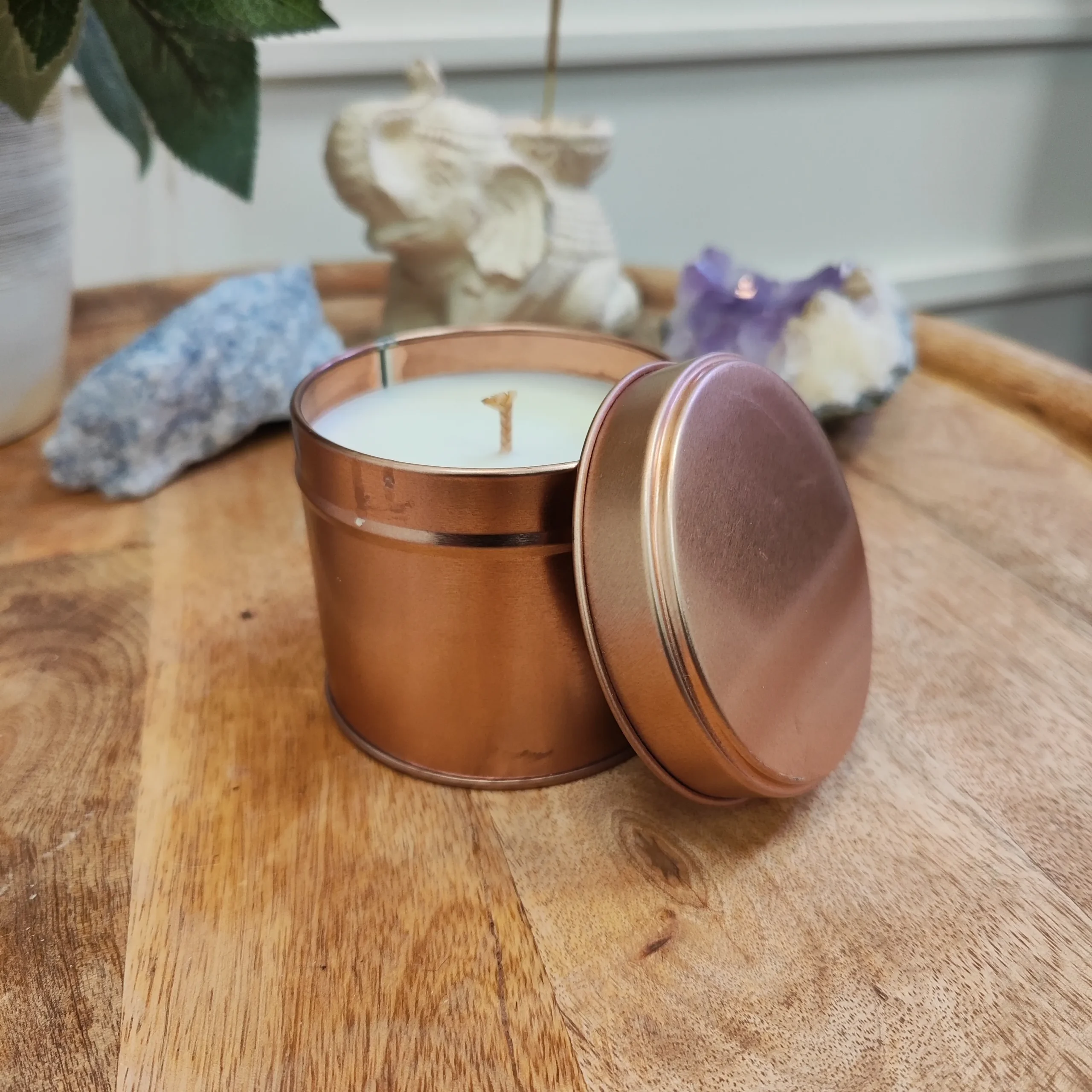 IMG_20251108_153552_1_C Tvariai atgimusi sojų vaško žvakė