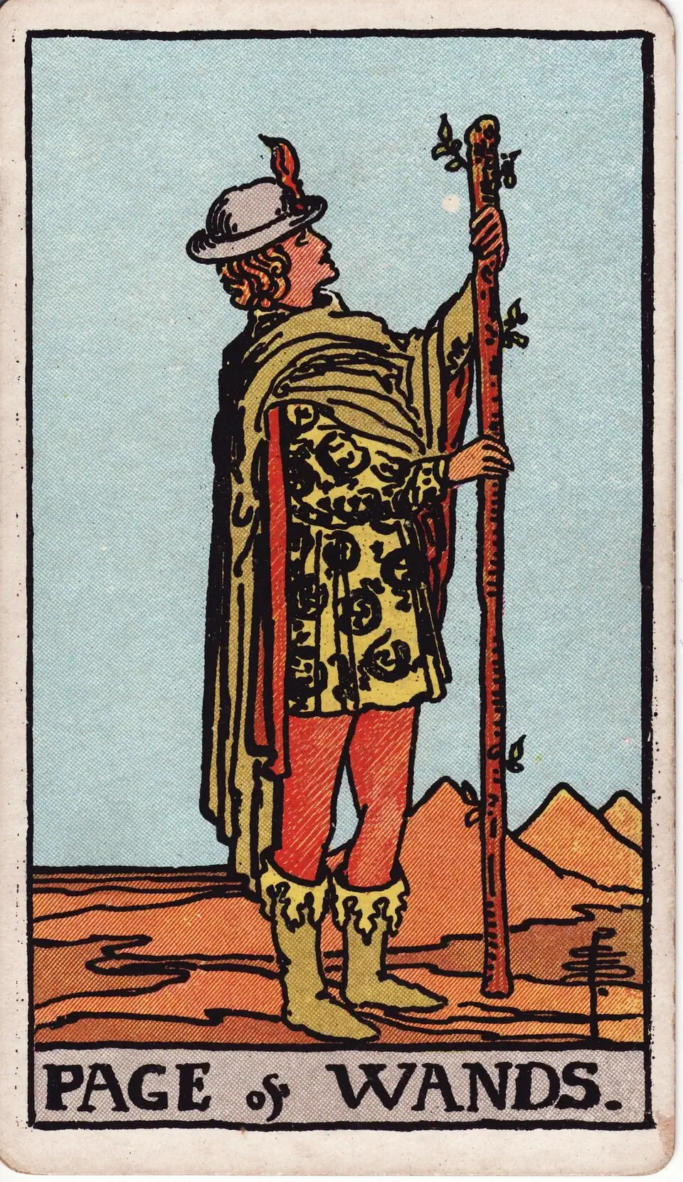 Lazdų Pažas (Page of Wands)