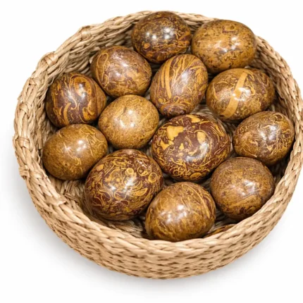 Gyvatės odos jaspio būgninukas