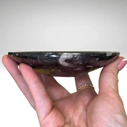 Fosilijos dubenėlis