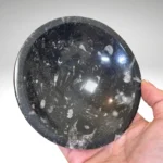 Fosilijos dubenėlis