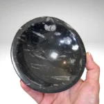 Fosilijos dubenėlis