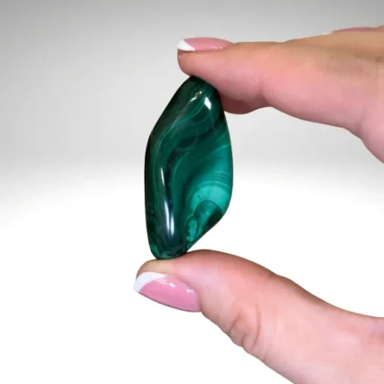 Malachito būgninukas