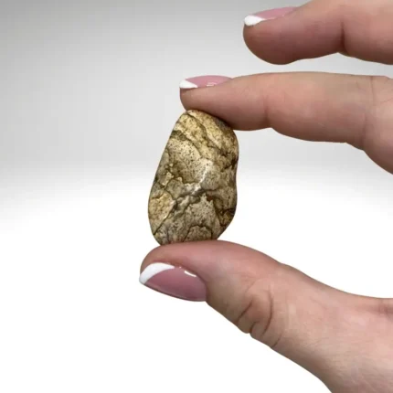 Paveikslinio jaspio būgninukas