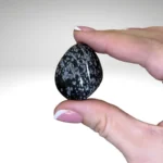 Snaiginio obsidiano būgninukas
