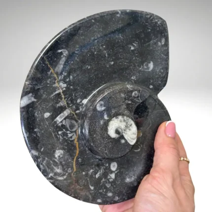 Fosilijos dubenėlis - smilkalinė