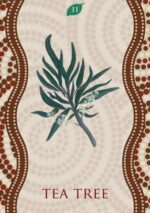 Aboriginal Healing Oracle kortos Rockpool - Image 5