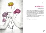 Akasha Oracle kortos Rockpool Publishing - Image 3