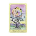 Dream Raven Tarot kortos Schiffer Publishing - Image 4