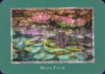Gaia’s Vision Oracle kortos Schiffer Publishing - Image 4
