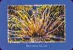 Gaia’s Vision Oracle kortos Schiffer Publishing - Image 5