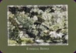 Gaia’s Vision Oracle kortos Schiffer Publishing - Image 6