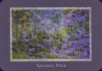 Gaia’s Vision Oracle kortos Schiffer Publishing - Image 7