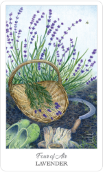 Herbcrafter's Taro kortos US Games Systems - Image 4