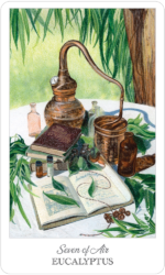 Herbcrafter's Taro kortos US Games Systems - Image 5