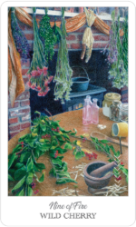 Herbcrafter's Taro kortos US Games Systems - Image 8