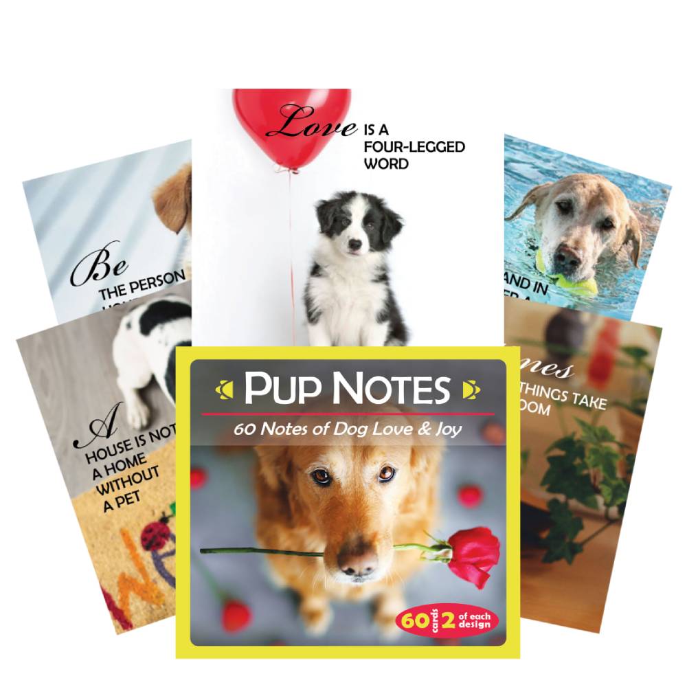 Inspirational-Pup-Notes-60-Meiles-ir-Dziaugsmo-kortu-US-Games-Systems Inspirational Pup Notes: 60 Meilės ir Džiaugsmo kortų US Games Systems
