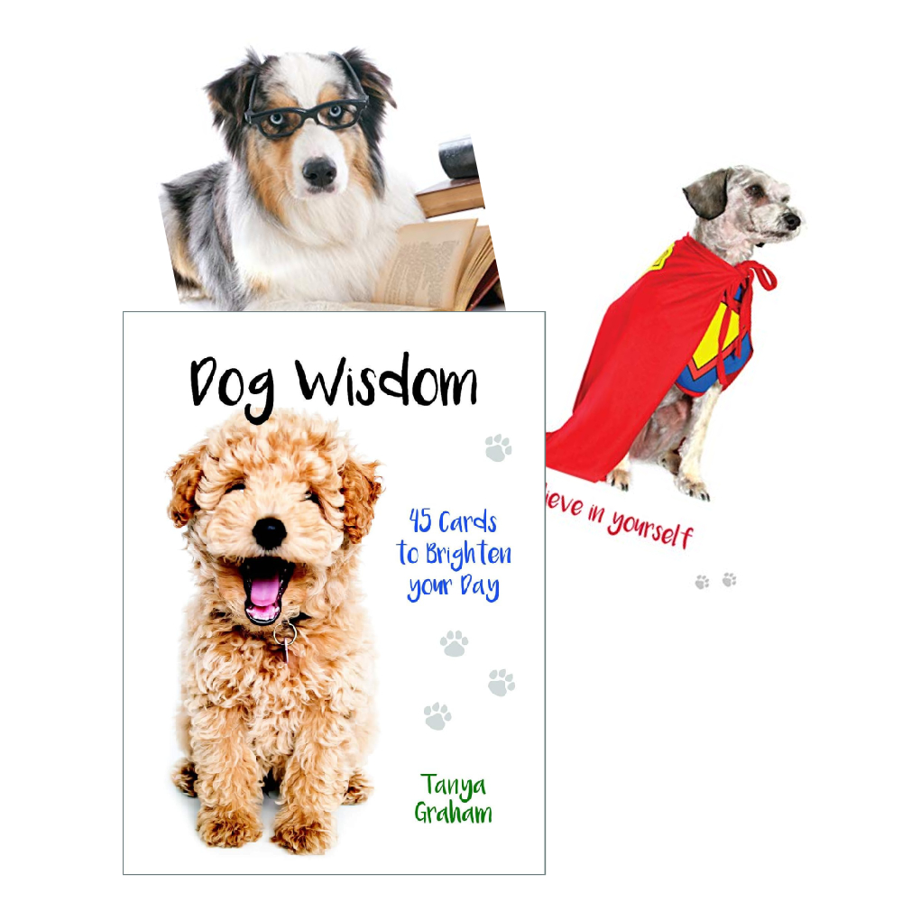 Inspirational-kortos-Dog-Wisdom-Blue-Angel Inspirational kortos Dog Wisdom Blue Angel
