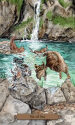 Magical Dogs Tarot Kortos Llewellyn - Image 3