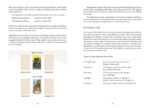 Mastering the Tarot Tableau Knyga Schiffer Publishing - Image 3