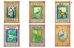 Messages From Your Animal Spirit Guides Oracle kortos Hay House - Image 2