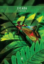 Messages from the Spirits of Nature Oracle kortos Hay House - Image 2