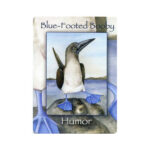 Natures Wisdom Oracle kortos Schiffer Publishing - Image 3