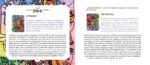 Powerful Perspectives Oracle kortos Schiffer Publishing - Image 2