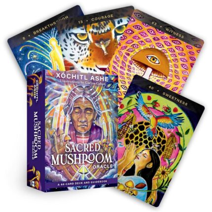 Sacred Mushroom Oracle kortos Hay House